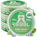 野生能源咖啡因邮袋 · 100mg咖啡因 · Alpha GPC · Huperzine A 和 基本维生素 · 无糖 · Coconut Fiber Technology · Cool Mint Flavor · 15 Pouches Per Can (Pack of 4)