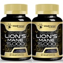 Lions Mane Supplements - 120 Counter - 蘑菇 Supplements, Brain Supplements for memory and Focus, Lion's Mane 蘑菇 supples - 认知与免疫支持,焦点 Supplements - 2 Pack