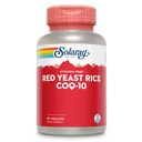 SOLARAY红酵母米加CoQ-10 & 无Flush Niacin维生素B-3,健康心脏和心血管支持,非辐照和Citrin免费,60天回钱担保,90次服务,90次Veg Caps