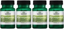 Swanson Pycnogenol 100 毫克 30 Capsules 4 包装