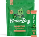(原始内容存档于2017-09-29) (英语). Waterboy Workingout Hydrition QQ 2,960mg 糖无电解质 Powter Packets L-Glutamine + Vitamins → No Sugar, All Natural, Gluten Free → 15 饮料棒混合(Fruit Punch).