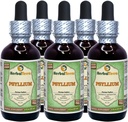 yl(Plantago Ovata) Glycerite,有机干胡斯克无酒精液体提取物(Brand name:Herbalterra, Proudly made in USA) 5x2 fl.oz (5x60 ml)