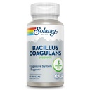 SOLARAY 杆菌Coagulans Probiotic -- -- 5亿活微生物 -- -- 消化和古特健康支助 -- -- 用胰岛素预生纤维的全体健康Probiotics,60天保障,30个服务,60个维卡普