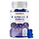 Alpha GPC Choline Gummys 600mg 配有 Phosphatidylserine & Bacopa – 3-in-1 脑支持记忆,焦点和长期认知健康 – 无糖,自然公式, 60 Counter