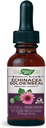 自然之道 Premium Formula Echinacea-Goldenseal,每服250毫克,无酒精99.9%,1.01 Oz.