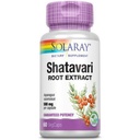 SOLARAY 保证可能性 Shatavari 根提取, Veg Cap (Btl-Plastic) 500 mg QQ 60ct