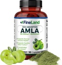 FineLand Amla(印度鹅莓) 20X全谱提取法 – 30,600mg Equivalent effecture effecture effecture of BioPerine offect,富于天然维生素C,Immune和消化支持 – 90 Vegan Capsules