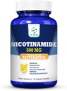 Nicotinamide 500mg 增量活性醇 100mg 120 Veggie Capsules 最多4个月供应维生素 B3 w. 抗氧化剂 所有天然饮食补充剂 支持细胞健康能量和优雅老化