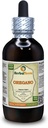 Oregano(Origanum Vulgare) 丁香,有机干叶液体提取物(Brand name:Herbalterra, Proudly in USA) 4 fl.oz(120毫升)