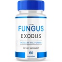 方古斯出炉 清钉方程式药 方古斯出炉方程式药 Probiotic 60 Counts