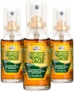 蜂生命Propolis Throat Spray – 舒松蜂蜜和姜汁 Propolis Spray – 天然免疫支持  & Bee Propolis 提取-抗氧化剂,富于Flavoids & Artepillin,无糖,Gluten-Free-3-Pack,90ml