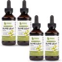 Maxx Herb 橄榄叶提取器 – Max 强势 Oluropein 液体吸附剂比Capsules 或 Tea更好,用于免疫支持,心脏健康和季节性健康 - 4瓶,每瓶4个奥兹(240架)