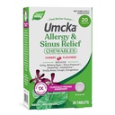 Nature's Way Alergy+Sinus Relief Chewables, Umcka, 打喷嚏*, Runny Nose *, Headache*, cough, contracting, no Phenylephrine, 非醉酒,樱桃火焰, 20块可切片(包装May Vary)