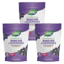自然之道(Sambucus Imune Lozenges),高发性维生素C,长老莓,野樱桃火焰,24 Lozenges(包装5月Vary) - 3包