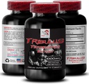 Natural Stamina Boost - TRIBULUS TERRESTRIS 提取 - 力量与活动支持,能量优化公式,植物动力,机体性能组合,主动回收,能量流 1Bot 90Tabs