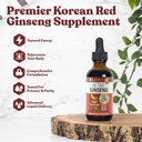 活跃的Ginseng 韩国红色Panax Ginseng 配有天然Ginsenosides - 快速吸附液 - 支持健康能源、生命力、Mood 等