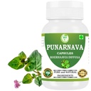 Punarnava Capsules (Boerhaavia Diffusa) 500mg – 60 Veg Capsules – 天然肾脏和肝脏支持的草原健康补充 → 植株除毒和清洁公式 → 包装 1
