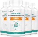 Orgabay Liposomal NAD+ 阿尔加巴伊·利波索马尔 补充500毫克、高吸收、带TMG 250毫克的诱导NAD+、实际NAD+更有效率的Nicotinamide Riboside、支持细胞能量、健康衰老 240软胶