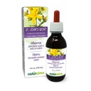 Naturalma St. John's Wort (Hypericum perforatum) 带花无酒精丁香的草药 - 4 floz 液体在滴液中的提取 - 草药补充 - Vegan