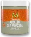 VitalMoss St Lucia Sea Moss Gel Regular, 野生阿尔卡林海 Moss 配有矿物维生素和抗氧化剂、甲状腺素和免疫支持补充剂, Raw, Unforward and Vegan Friendly, 16oz