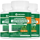Liposomal Artemisin 补充1000mg, Sweet Wormwood 提取物,配有 200mg 的 Quercetin 植物素, 抗氧化剂最大吸收量 180 Capsules