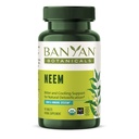 Banyan植物学 Neem板块 – 有机 Neem Leaf (Azadirachta Indica) – 支持自然解毒,健康皮肤,以及Immune健康 * – 90板块 – 非GMO 可持续来源 Vegan