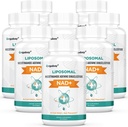 Orgabay Liposomal NAD+ 阿尔加巴伊·利波索马尔 补充500 mg,高吸收,带TMG 250 mg的推进NAD+,实际NAD+更有效率的Than Nicotinamide Riboside,支持细胞能量,健康衰老 QQ 480软胶