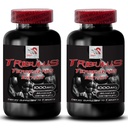 增加性驱动力 - TRIBULUS TERRESTRIS EXTRACT - Tribulus terrestris提取能量,男女性驱动药,性驱动药,利比多助推剂 - 2瓶 180片