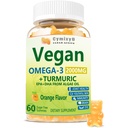 Vegan Omega 3 & Turmeric Gummys 2500mg, Algae Omega 3 DHA 800mg&EPA 400mg,配有MSM,维生素D3, 大脑,眼睛,联合,鱼油补充剂替代品,无糖