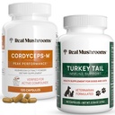 真正的人类蘑菇 Cordyceps for Humans (120ct) 和土耳其的宠物尾巴 (90ct) - Bundle for Energy, Vitality, and university - Vegan, N-GMO, Grain-Free-Gluten-Free Mushroom Excess Capsules