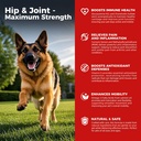 狗Hip和联合补充剂 - 狗疼痛缓解抗炎药物 与Glucosamine,Chondroitin,MSM,Turmeric,维生素E,Omega 3 - 治疗Hip Dysplasia,关节炎 - 所有大型中微管