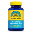 大自然的生命能量化Niacinamide,维生素B3 1000mg - 高潜质,没有Flush Niacin 补充物 - Nerve函数,能量和代谢支持 - 60天保障 - 100个服务,100片
