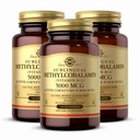 Solgar Methylcobalamin(维生素B12) 5000 mcg, 60 Nuggets (Pack of 3) - Cherry Flavor - 支持能量代谢 - 身体准备,主动形式 - 非GMO, Vegan, Gluten Free - 180 总服务