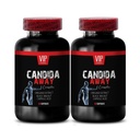 arabinogalactan),肠子植物补充剂,aloe vera 叶粉有机 - CANDIDA AWAY COMPLEX - oregano油胶囊,虫木补充胶囊,免疫增强剂,兰塔支持 - 2瓶120盖
