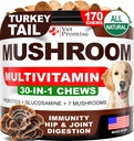 狗的蘑菇 - 170 Chews - 土耳其 Tail - 狗的蘑菇补充剂 - 狮子 Mane - Reishi - 豁免支持多维他命维生素 - 联合健康 - 能源 - 古特 - 皮肤 - 美国制造