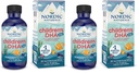 Nordic Naturals Children的DHA Xtra, Berry Punch - 2 oz for Kids - 880 mg 与EPA & DHA 的Omega-3 总计 - 认知和免疫功能,学习,社会发展 - 非GMO - 48 Services (Pack of 2)