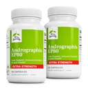 Terry Natural Andrographis EP80 额外力量 -- -- 脑健康与免疫支持 -- -- 援助流动的联合健康支持 -- -- 能源和肝脏支持的适应原体补充 -- -- 60 Capsules(包2)