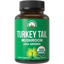 峰性能有机土耳其 Tail Capsules - 美国种植与真正的土耳其 Tail蘑菇. 免疫系统支持自然收获的蘑菇补充剂豁免。 Vegan 补编摘录