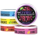 LyvWel 225mg Cafeine Energy Pouches QQ Notropic Focus & Neuro Support QQ 无烟草 无尼古丁 快速能源解决方案 QQ 5-Pack:60 Pouches (5 Pack,多包)