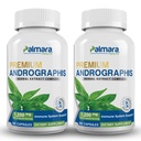Palmara Health Premium Andrographis Paniculata 提取 2 Pack - 1,200 mg(100 mg Andrographolides) / service, 非GMO, Vegan, Gluten Free(无)