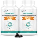 Orgabay Liposomal NAD+ 阿尔加巴伊·利波索马尔 补充500毫克、高吸收、带TMG 250毫克的推进NAD+、实际NAD+更有效率的Nicotinamide Riboside、支持细胞能量、健康衰老 120软胶