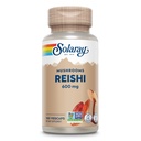 SOLARAY Reishi 蘑菇 600mg - Reishi 蘑菇 Capsules for Immune Support - Vegan, Lab 验证 - 60天钱包担保 - 100名服务员,100名Veg Caps