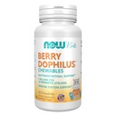 Now Foods Supplements, Berry DophilusTM 配有2亿元, 10 Probiotic Strains, Xylitol Sweeted, Strain 验证, 60 Chewables, 包装可能不同