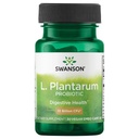 Swanson L. Plantarum - 促进肠胃平衡和肠道调节的消化补充剂 - 帮助减少排卵的自然公式 - (30 Veggie Capsules)