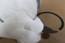 硫酸锌 单水合物 - 35.5% Zn - 99%纯度 - 5英镑