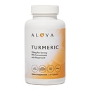 Alaya Naturals Turmeric Curcumin 配有生物牡蛎- 750mg Pervice, 95% Curcumin 提取 用于联合舒适、流动和吸收的 Turmeric Curcules – 非GMO, Vegan, 实验室测试