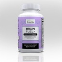 Brain Fuel+ DMAE 混合内存增量 聚焦,摩德,忙男和忙女的精神能量 - 60 Capsules,美国制造