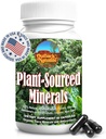 Fulvic Humic Mineral blend of Trace Minerals, Electrolytes, Gut Health, 认知功能, 水力学和免疫学支持, 纯生命力疗养公式 - 60 Capsules