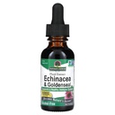 Nature's answer Enchinacea & Goldenseal 支持健康免疫系统 超级专注提取 QQ无酒精,无葡萄糖, Vegan & Kosher 认证 1oz