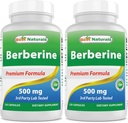 Berberine 500mg 120 Capsules - 支持Imune函数,心血管和胃肠函数(120个计数(包2))
